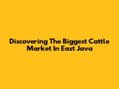 Discovering The Biggest Cattle Market In East Java