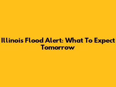 Illinois Flood Alert: What To Expect Tomorrow