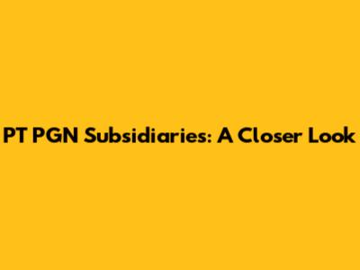 PT PGN Subsidiaries: A Closer Look